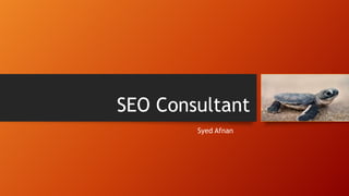 SEO Consultant
Syed Afnan

 
