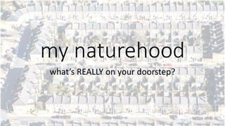 my naturehood
what’s REALLY on your doorstep?
 