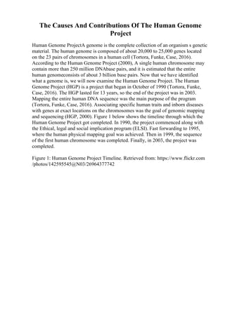My Neighbourhood Essay | PDF