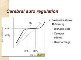 Neurophysiology and anesthesia point of view | PPTX