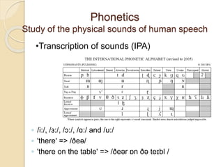 Phonetics
Study of the physical sounds of human speech
◦ /i:/, /ɜ:/, /ɔ:/, /ɑ:/ and /u:/
◦ 'there' => /ðeə/
◦ 'there on the table' => /ðeər ɒn ðə teɪbl /
•Transcription of sounds (IPA)
 