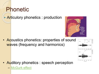 Phonetic
 Articulory phonetics : production
• Auditory phonetics : speech perception
– McGurk effect
• Acoustics phonetics: properties of sound
waves (frequency and harmonics)
 