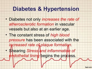 Diabetes & Hypertension 
• Diabetes not only increases the rate of 
atherosclerotic formation in vascular 
vessels but also at an earlier age. 
• The constant stress of high blood 
pressure has been associated with the 
increased rate of plaque formation. 
• Shearing Stress and inflammation of 
endothelial lining begins the process. 
 