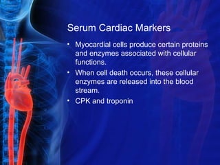 Serum Cardiac Markers
• Myocardial cells produce certain proteins
and enzymes associated with cellular
functions.
• When cell death occurs, these cellular
enzymes are released into the blood
stream.
• CPK and troponin
 