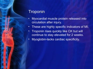 Troponin
• Myocardial muscle protein released into
circulation after injury.
• These are highly specific indicators of MI.
• Troponin rises quickly like CK but will
continue to stay elevated for 2 weeks.
• Myoglobin-lacks cardiac specificity.
 