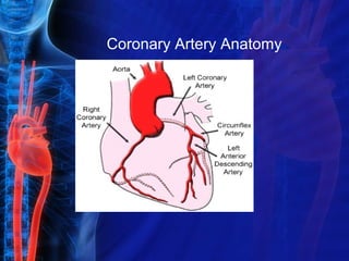 Coronary Artery Anatomy
 