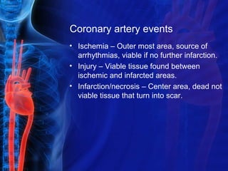 Coronary artery events
• Ischemia – Outer most area, source of
arrhythmias, viable if no further infarction.
• Injury – Viable tissue found between
ischemic and infarcted areas.
• Infarction/necrosis – Center area, dead not
viable tissue that turn into scar.
 