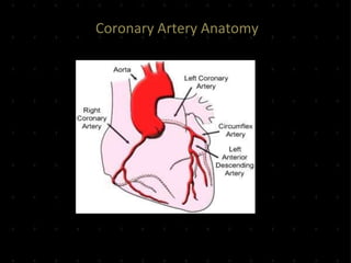 Coronary Artery Anatomy
 