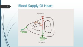 Blood Supply Of Heart6
RIGH
T
 