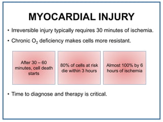 MYOCARDIAL INJURY
• Irreversible injury typically requires 30 minutes of ischemia.
• Chronic O2 deficiency makes cells more resistant.
• Time to diagnose and therapy is critical.
After 30 – 60
minutes, cell death
starts
80% of cells at risk
die within 3 hours
Almost 100% by 6
hours of ischemia
 