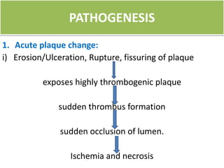 Pathogenesis And Morphological Changes Of Myocardial Infarction
