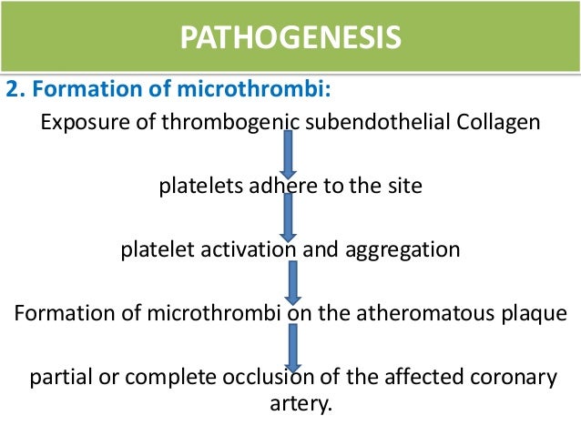 Pathogenesis And Morphological Changes Of Myocardial Infarction