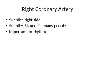 Right Coronary Artery
• Supplies right side
• Supplies SA node in many people
• Important for rhythm
 