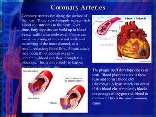 Coronary ArteriesCoronary arteries run along the surface of the heart. These vessels supply oxygen-rich blood and nutrients to the heart. Over time, fatty deposits can build up in blood vessel walls (atherosclerosis). Plaque can cause hardening of the arterial walls and narrowing of the inner channel, as a result, restricting blood flow. A heart attack may occur if not enough oxygen-containing blood can flow through this blockage. This is more likely to happen when you are exercising.The plaque itself develops cracks or tears. Blood platelets stick to these tears and form a blood clot (thrombus). A heart attack can occur if this blood clot completely blocks the passage of oxygen-rich blood to the heart. This is the most common cause.