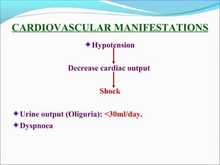 CARDIOVASCULAR MANIFESTATIONS
Hypotension
Decrease cardiac output
Shock
Urine output (Oliguria): <30ml/day.
Dyspnoea
 