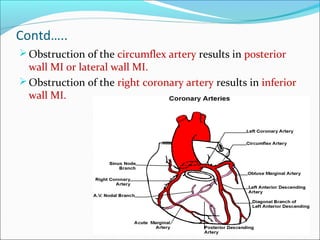Contd…..
Obstruction of the circumflex artery results in posterior
wall MI or lateral wall MI.
Obstruction of the right coronary artery results in inferior
wall MI.
 