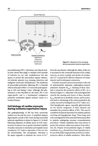 Myocardial protection 2004 | PDF