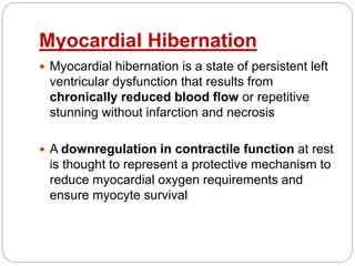 Myocardial Hibernation
 Myocardial hibernation is a state of persistent left
ventricular dysfunction that results from
chronically reduced blood flow or repetitive
stunning without infarction and necrosis
 A downregulation in contractile function at rest
is thought to represent a protective mechanism to
reduce myocardial oxygen requirements and
ensure myocyte survival
 