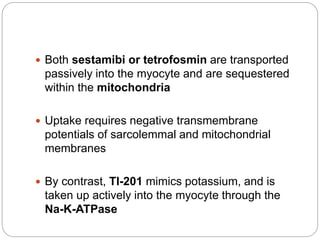  Both sestamibi or tetrofosmin are transported
passively into the myocyte and are sequestered
within the mitochondria
 Uptake requires negative transmembrane
potentials of sarcolemmal and mitochondrial
membranes
 By contrast, Tl-201 mimics potassium, and is
taken up actively into the myocyte through the
Na-K-ATPase
 