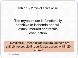 within 1 – 2 min of acute onset
The myocardium is functionally
sensitive to ischemia and will
exhibit marked contractile
dysfunction
HOWEVER, these ultrastructural defects are
entirely reversible if reperfusion occurs within 20–
40 min.
Dr Prithvi Puwar
 