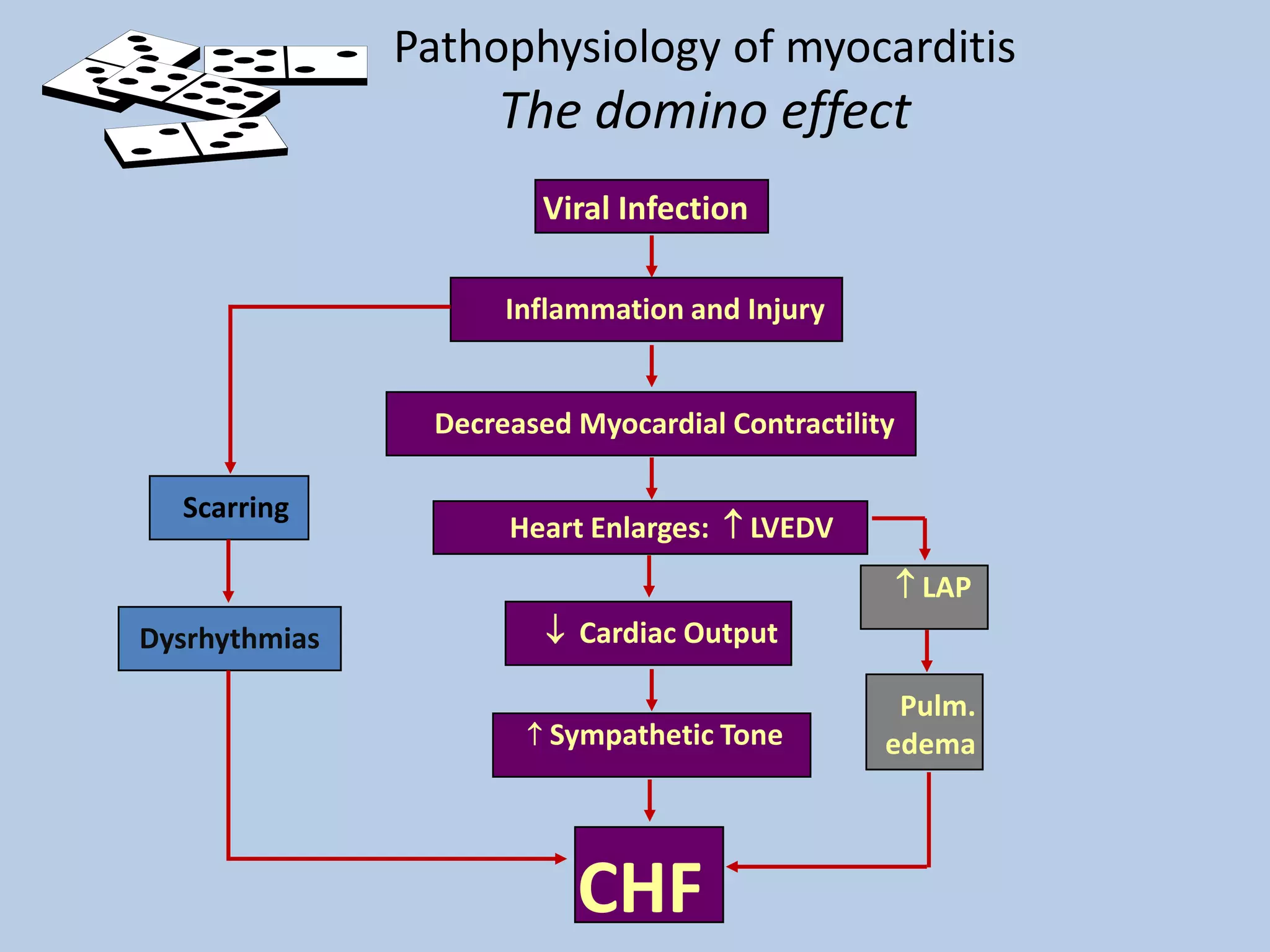 Pathophysiology of myocarditis

The domino effect
Viral Infection
Inflammation and Injury

Decreased Myocardial Contractility
Scarring

Heart Enlarges:  LVEDV
 LAP
 Cardiac Output

Dysrhythmias


Sympathetic Tone

CHF

Pulm.
edema

 