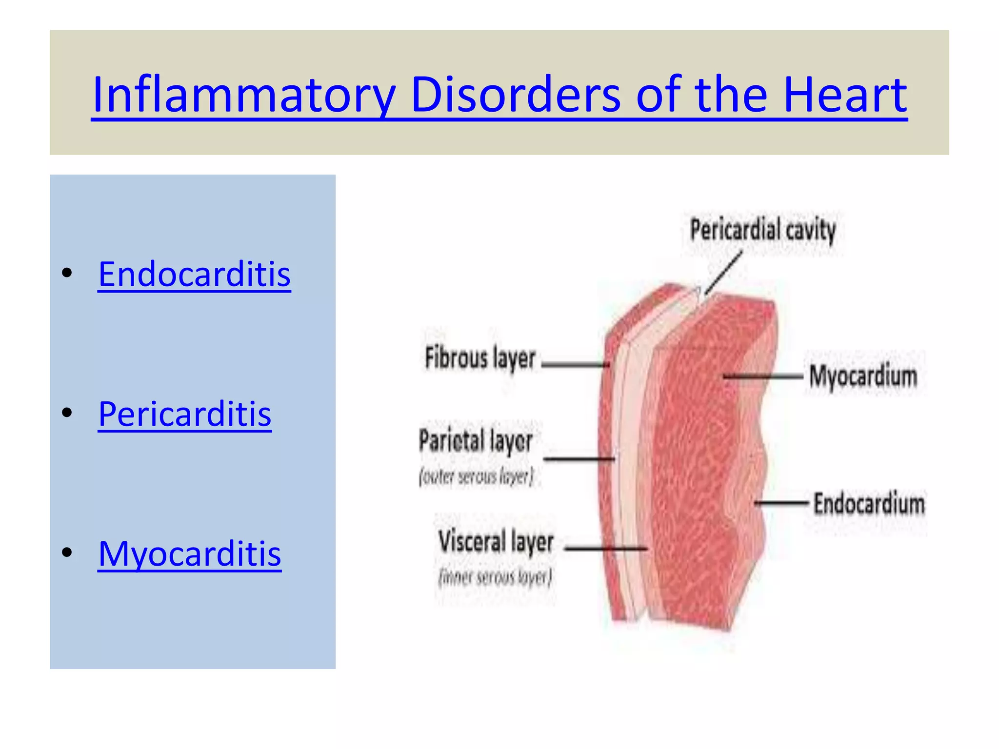 Inflammatory Disorders of the Heart
• Endocarditis
• Pericarditis
• Myocarditis

 