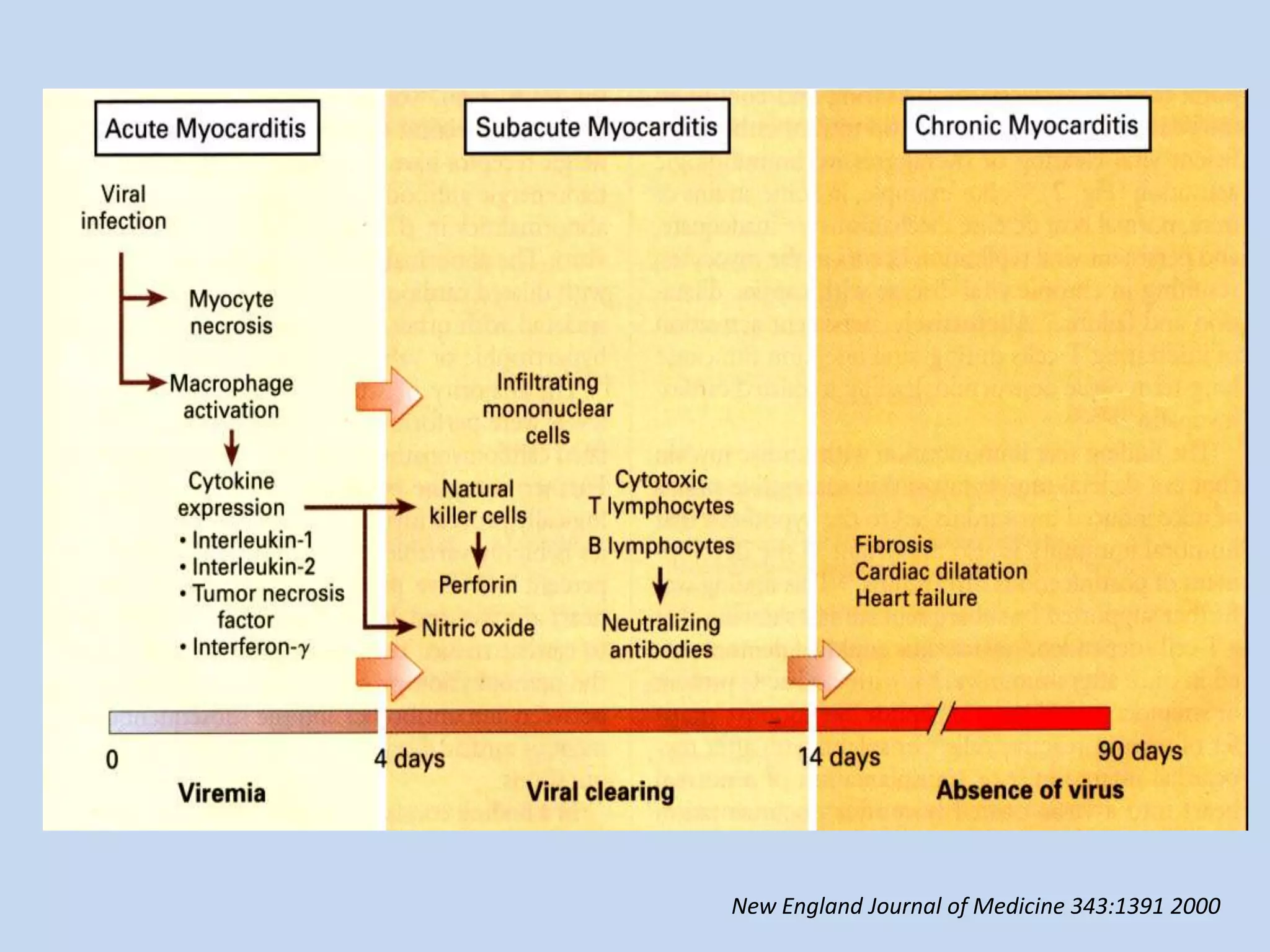 New England Journal of Medicine 343:1391 2000

 