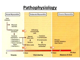 Pathophysiology
 