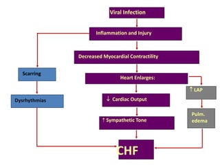 Viral Infection
Inflammation and Injury
Decreased Myocardial Contractility
Heart Enlarges:
 Cardiac Output
 Sympathetic Tone
CHF
 LAP
Pulm.
edema
Scarring
Dysrhythmias
 