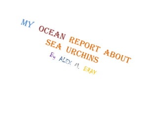 MyOceanReport  About  Sea  Urchins ByALEXM.BRAY 