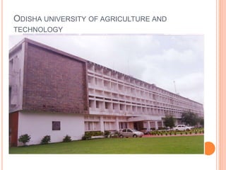 ODISHA UNIVERSITY OF AGRICULTURE AND 
TECHNOLOGY 
 