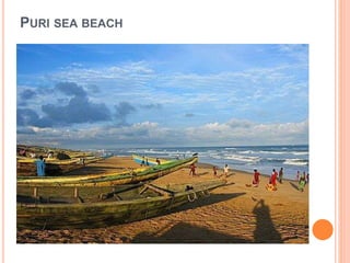 PURI SEA BEACH 
 