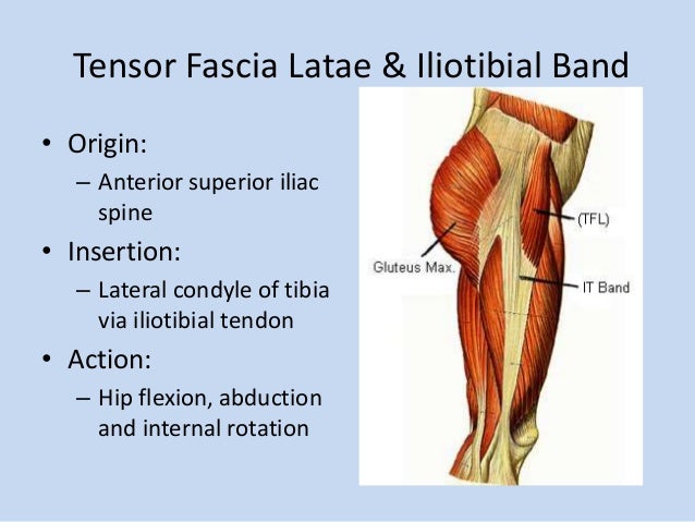 Myofascial pain syndrome and the effects of self myofascial