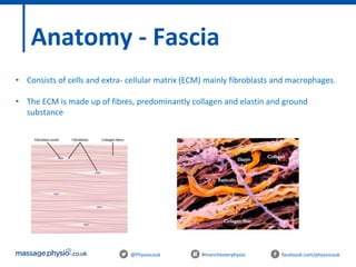 Myofascial Release and Muscle Energy techniques | PPTX