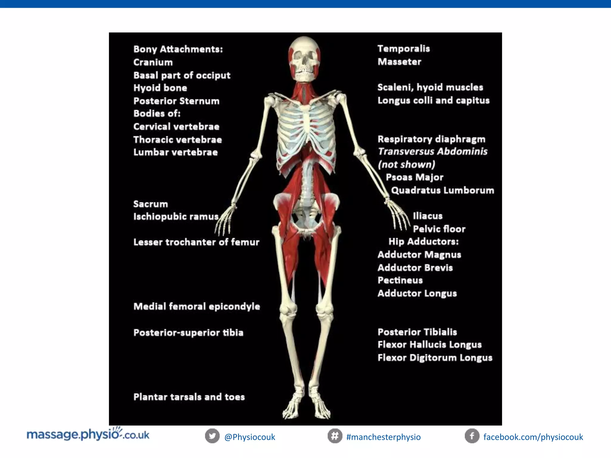 @Physiocouk #manchesterphysio facebook.com/physiocouk
 