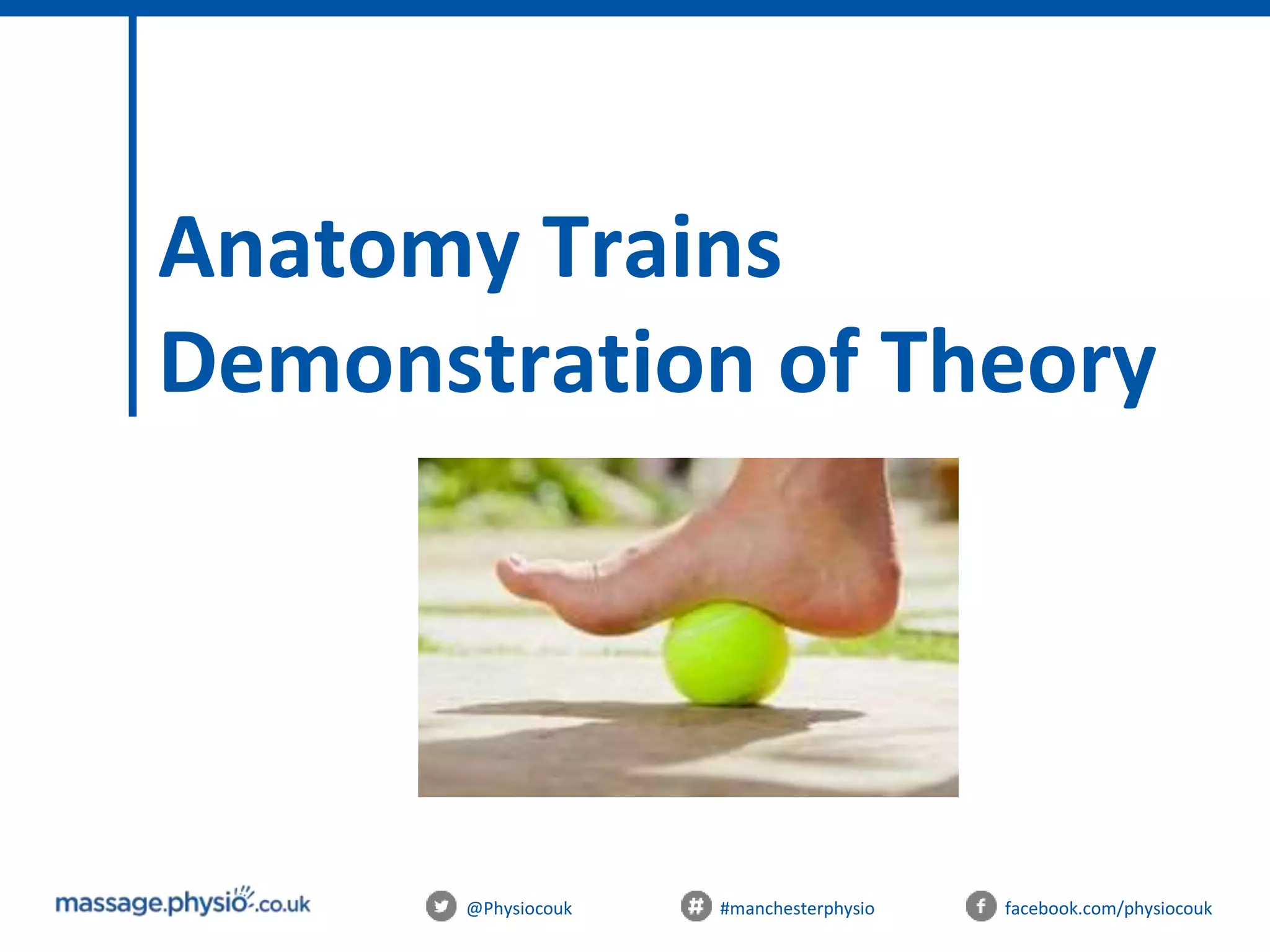 @Physiocouk #manchesterphysio facebook.com/physiocouk
Anatomy Trains
Demonstration of Theory
 