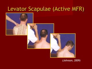 Levator Scapulae (Active MFR)Levator Scapulae (Active MFR)
(Johnson, 2009)
 