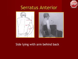 Serratus AnteriorSerratus Anterior
Side lying with arm behind back
 