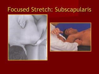 Focused Stretch: SubscapularisFocused Stretch: Subscapularis
 