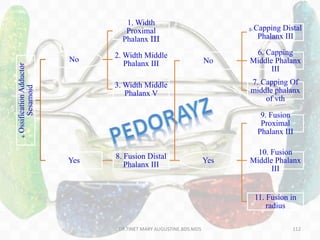 4.OssificationAdductor
Sesamoid
No
1. Width
Proximal
Phalanx III
2. Width Middle
Phalanx III
3. Width Middle
Phalanx V
Yes
8. Fusion Distal
Phalanx III
No
5. Capping Distal
Phalanx III
6. Capping
Middle Phalanx
III
7. Capping Of
middle phalanx
of vth
Yes
9. Fusion
Proximal
Phalanx III
10. Fusion
Middle Phalanx
III
11. Fusion in
radius
DR.TINET MARY AUGUSTINE.BDS.MDS 112
 