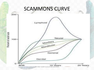 SCAMMONS CURVE
DR.TINET MARY AUGUSTINE.BDS.MDS 14
 