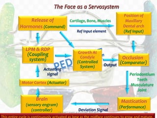 144
The Face as a Servosystem
Release of
Hormones (Command)
Position of
Maxillary
Dental arch
(Ref Input)
Occlusion
(Comparator)
Periodontium
Teeth
Musculature
Joint
Mastication
(Performance)
Deviation Signal
Brain
(sensory engram)
(controller)
Motor Cortex (Actuator)
Output
Actuating
signal
LPM & RDP
(Coupling
system)
Growth At
Condyle
(Controlled
System)
Cartilage, Bone, Muscles
Ref Input element
DR.TINET MARY AUGUSTINE.BDS.MDS
 