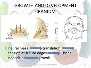 GROWTH AND DEVELOPMENT
CRANIUM
• neural mass translation
tension at suture edges bone
deposition growth
DR.TINET MARY AUGUSTINE.BDS.MDS 17
 