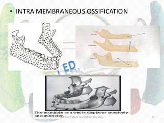• INTRA MEMBRANEOUS OSSIFICATION
DR.TINET MARY AUGUSTINE.BDS.MDS 35
 