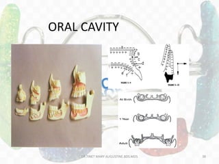 ORAL CAVITY
DR.TINET MARY AUGUSTINE.BDS.MDS 38
 