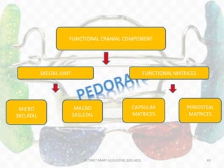 FUNCTIONAL CRANIAL COMPONENT
SKELTAL UNIT
MICRO
SKELATAL
MACRO
SKELETAL
FUNCTIONAL MATRICES
CAPSULAR
MATRICES
PERIOSTEAL
MATRICES
DR.TINET MARY AUGUSTINE.BDS.MDS 43
 