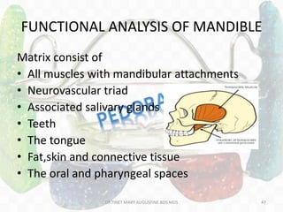 FUNCTIONAL ANALYSIS OF MANDIBLE
Matrix consist of
• All muscles with mandibular attachments
• Neurovascular triad
• Associated salivary glands
• Teeth
• The tongue
• Fat,skin and connective tissue
• The oral and pharyngeal spaces
DR.TINET MARY AUGUSTINE.BDS.MDS 47
 