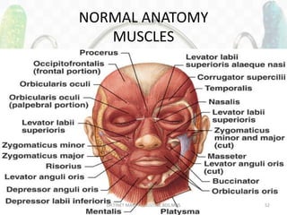 NORMAL ANATOMY
MUSCLES
DR.TINET MARY AUGUSTINE.BDS.MDS 52
 