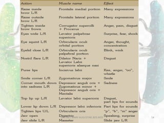 INNERVATIONS
DR.TINET MARY AUGUSTINE.BDS.MDS 54
 