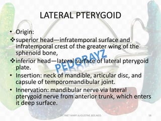 LATERAL PTERYGOID
• Origin:
superior head—infratemporal surface and
infratemporal crest of the greater wing of the
sphenoid bone,
inferior head—lateral surface of lateral pterygoid
plate.
• Insertion: neck of mandible, articular disc, and
capsule of temporomandibular joint.
• Innervation: mandibular nerve via lateral
pterygoid nerve from anterior trunk, which enters
it deep surface.
DR.TINET MARY AUGUSTINE.BDS.MDS 58
 